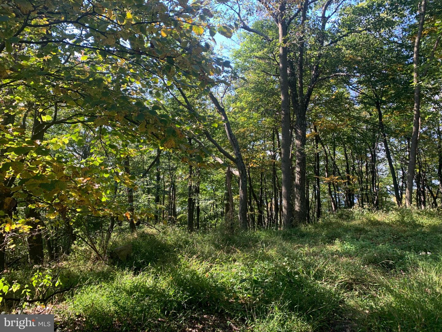Aughwick Property Photo 5