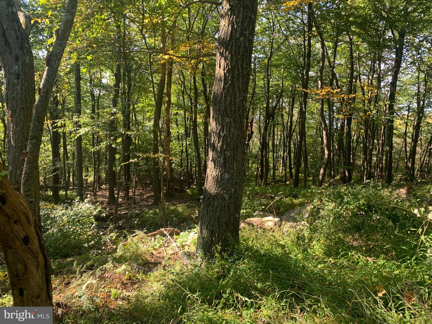 Aughwick Property Photo 8