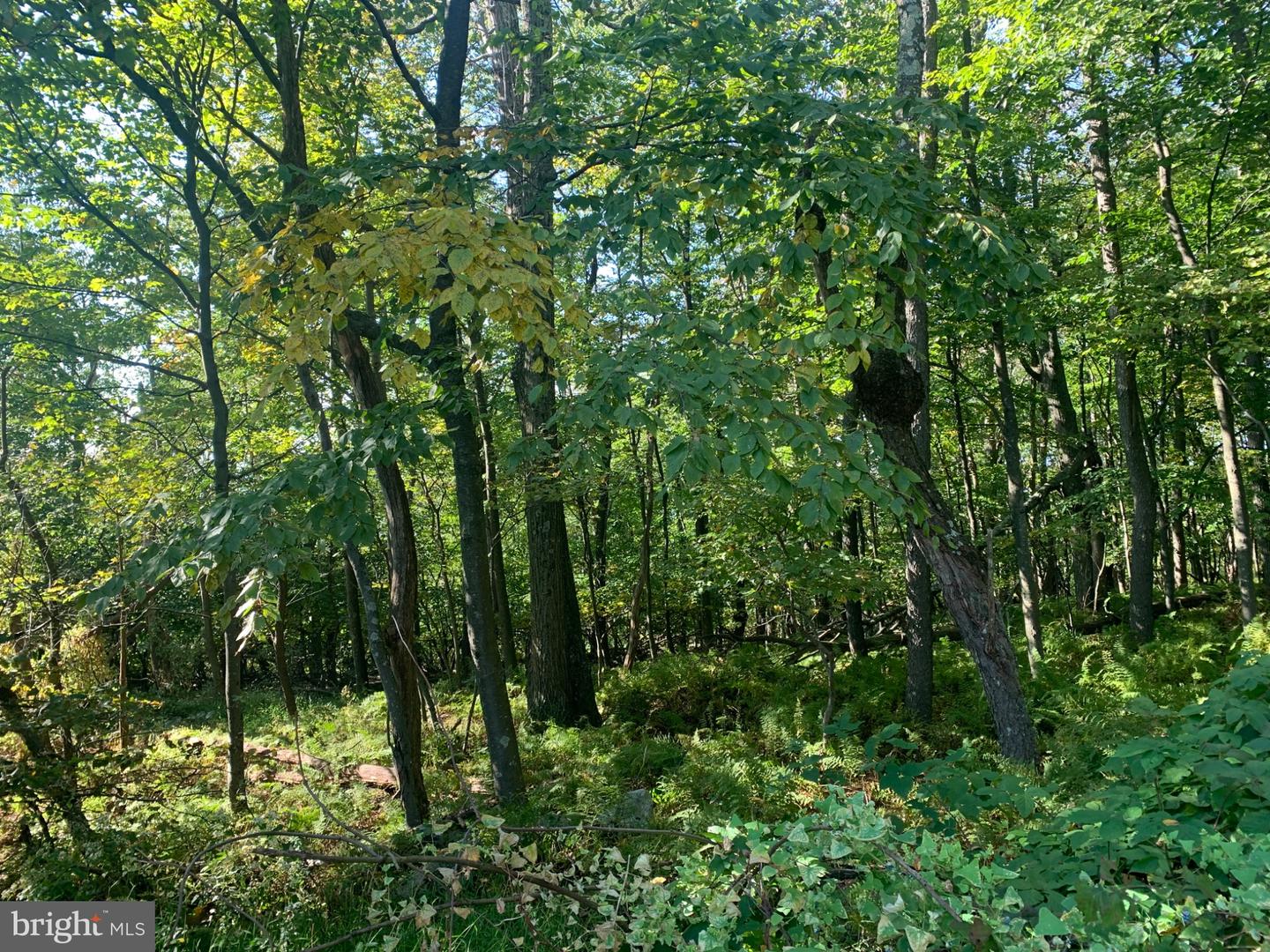 Aughwick Property Photo 11