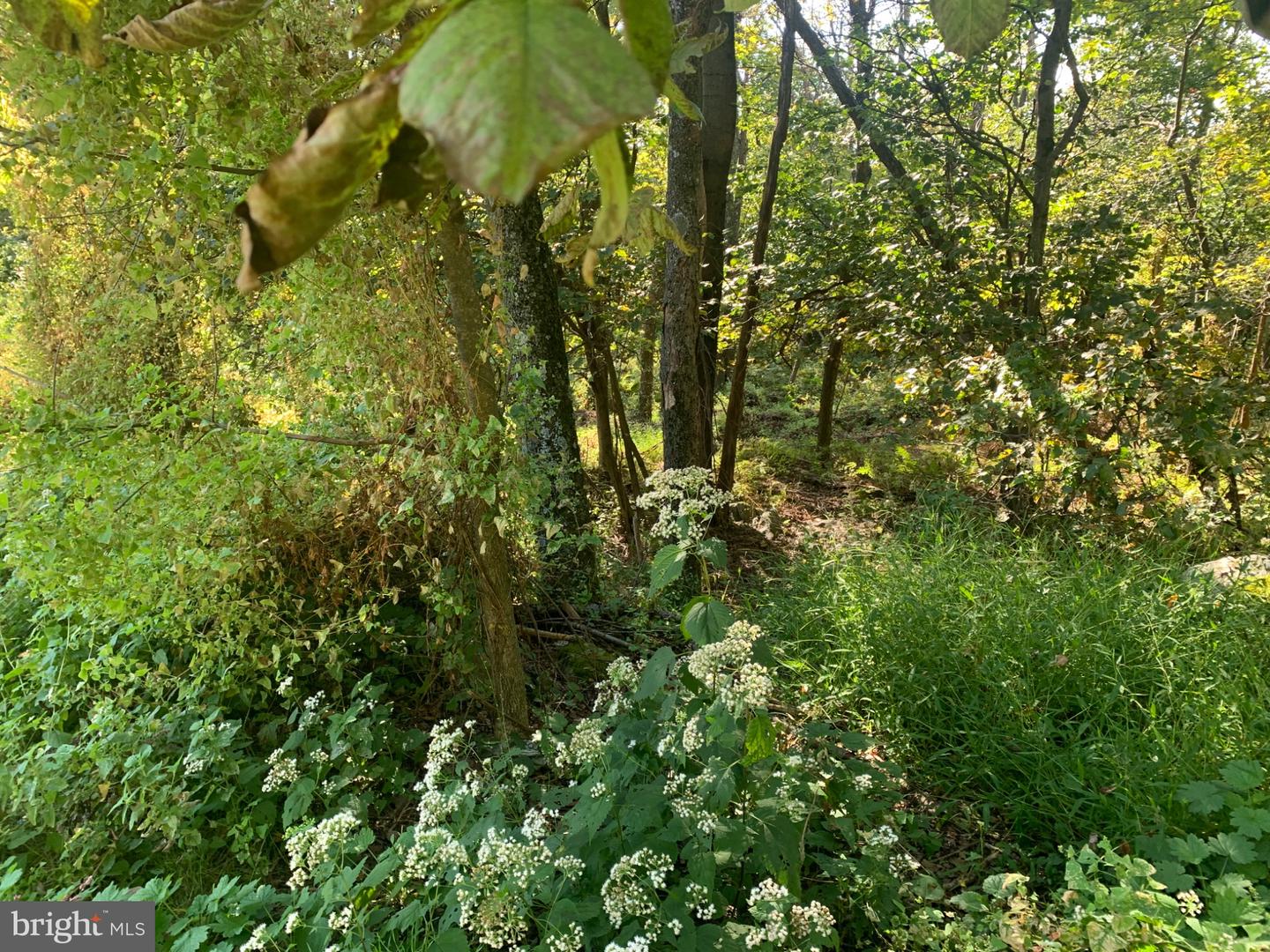 Aughwick Property Photo 12