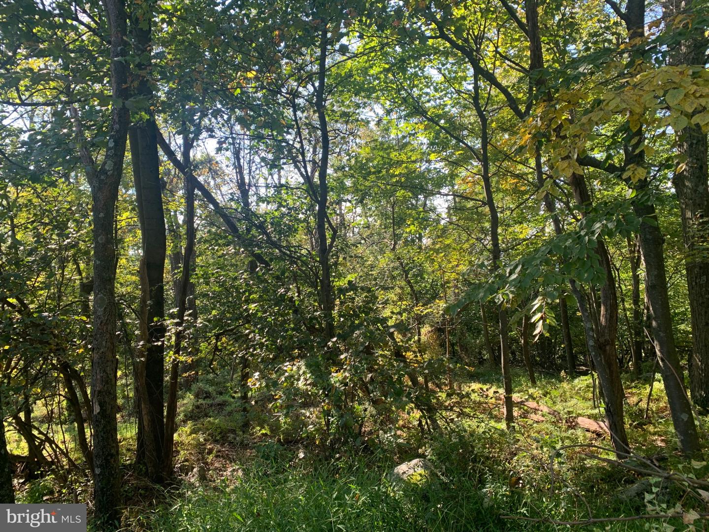 Aughwick Property Photo 13