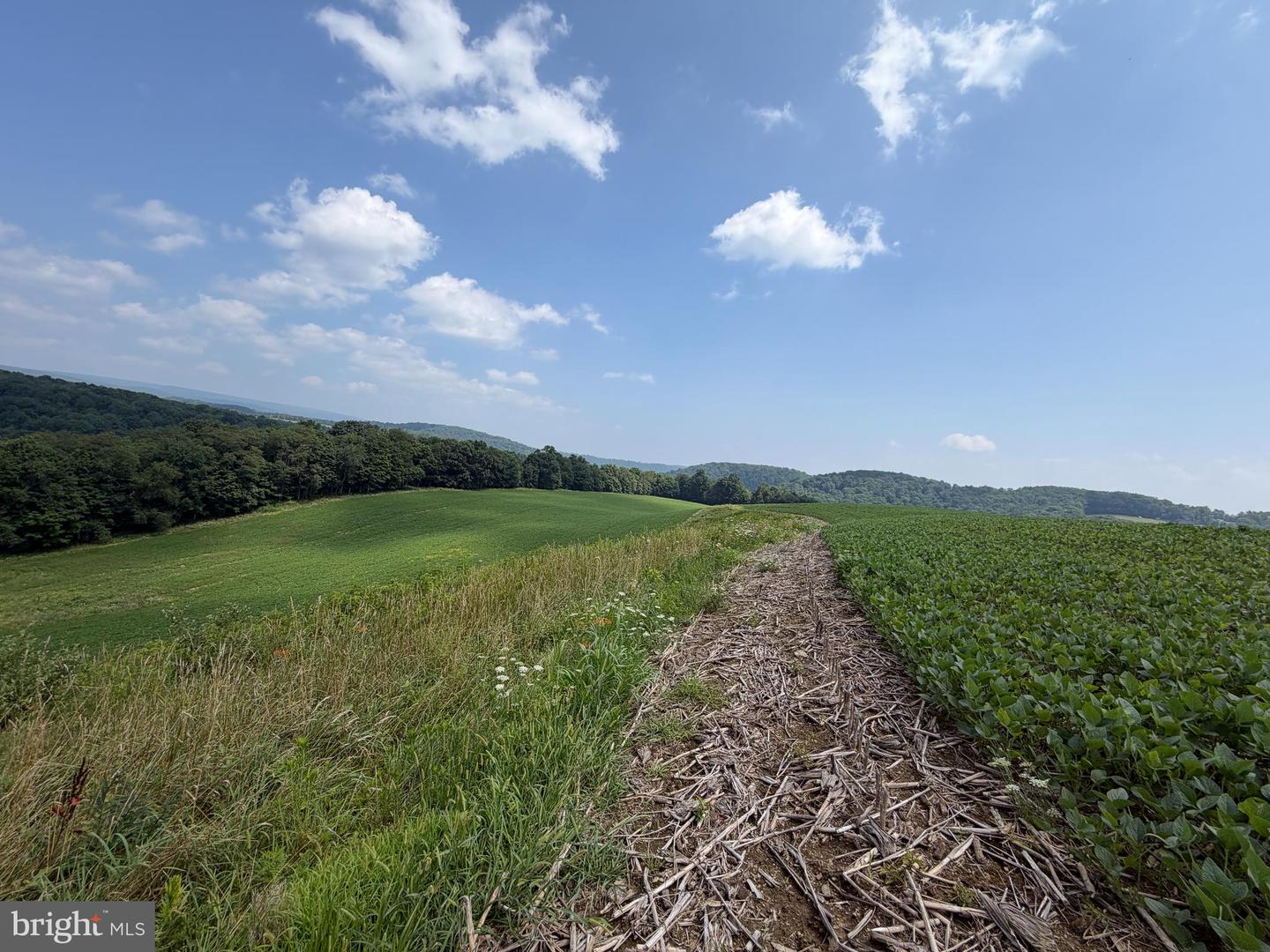 131.5+/- Acres At 361 Caney Valley Rd Property Photo 31