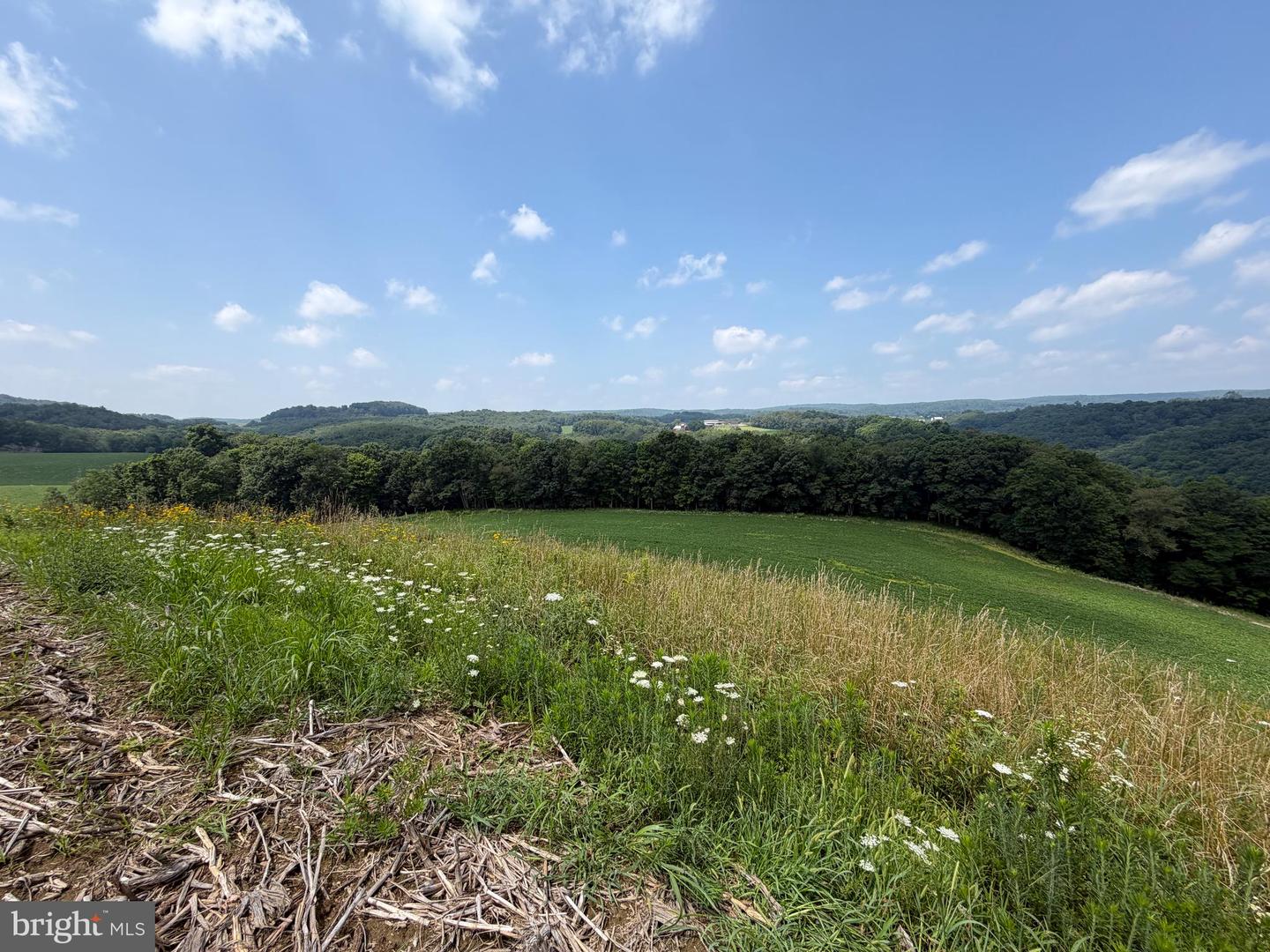 131.5+/- Acres At 361 Caney Valley Rd Property Photo 32