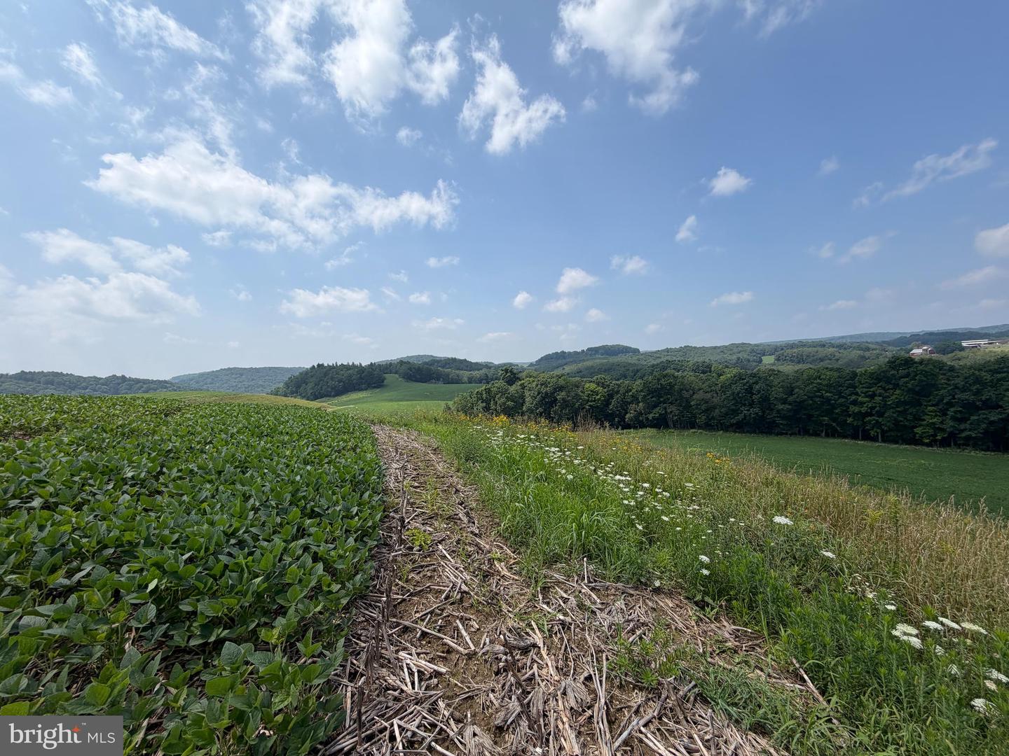 131.5+/- Acres At 361 Caney Valley Rd Property Photo 33