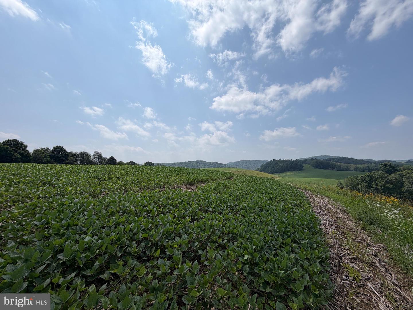131.5+/- Acres At 361 Caney Valley Rd Property Photo 34