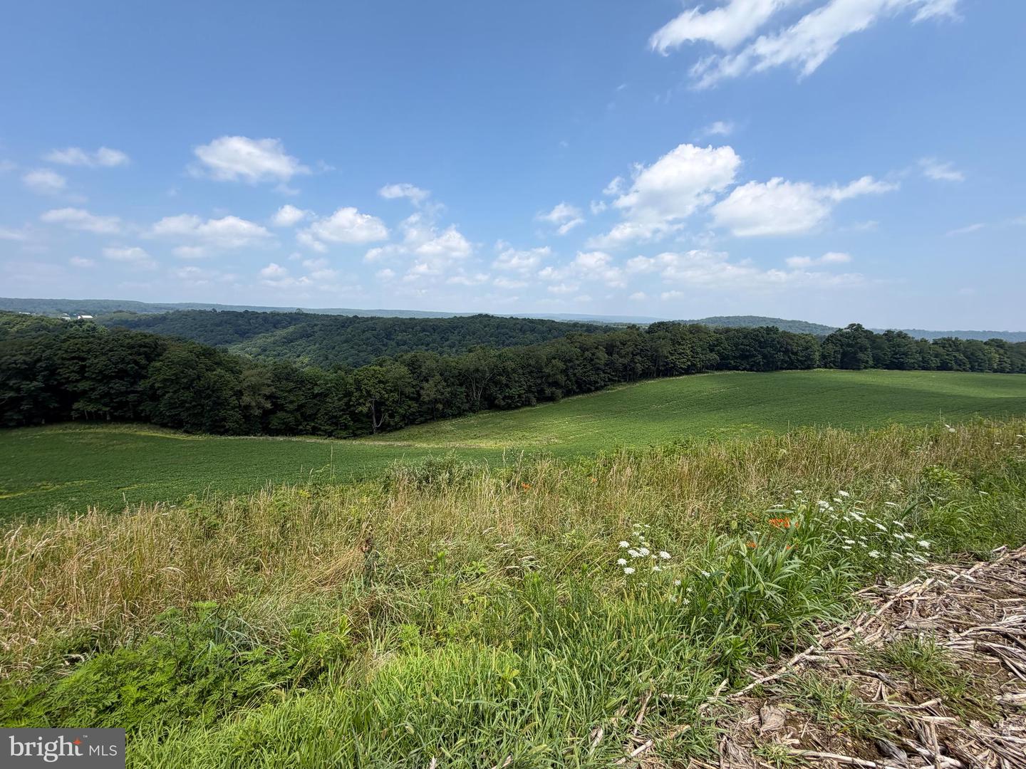 131.5+/- Acres At 361 Caney Valley Rd Property Photo 35