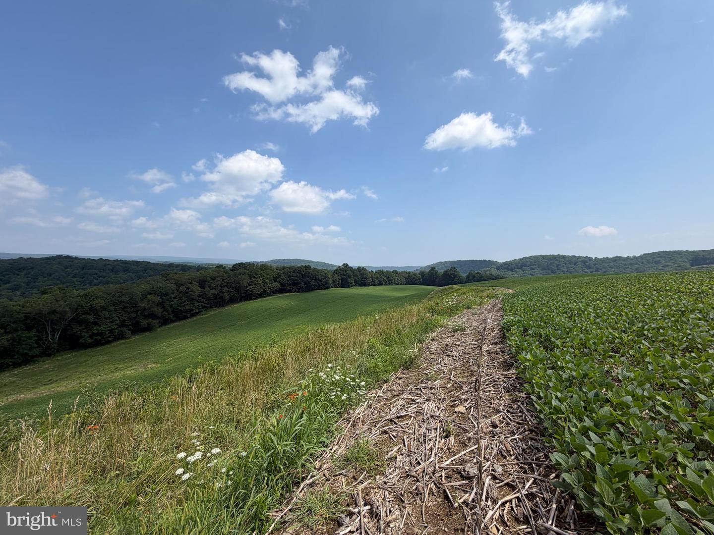 131.5+/- Acres At 361 Caney Valley Rd Property Photo 36