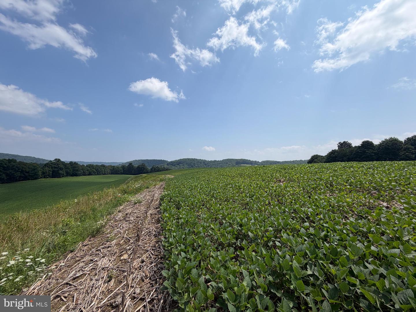 131.5+/- Acres At 361 Caney Valley Rd Property Photo 37
