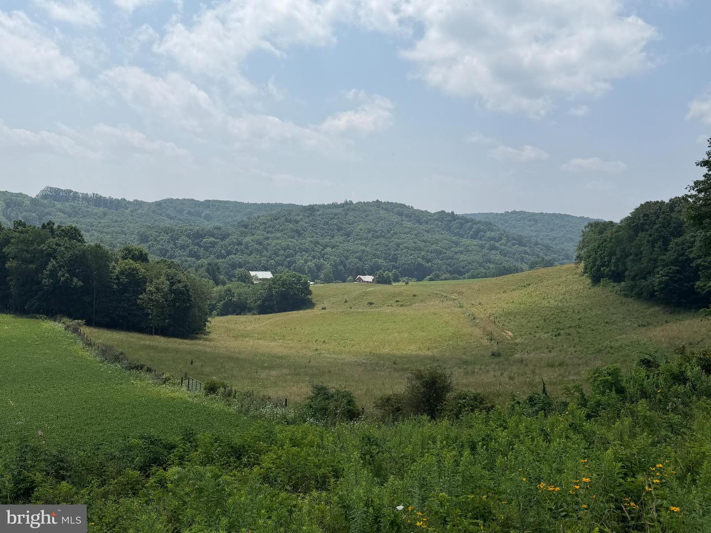 131.5+/- Acres At 361 Caney Valley Rd Property Photo 40