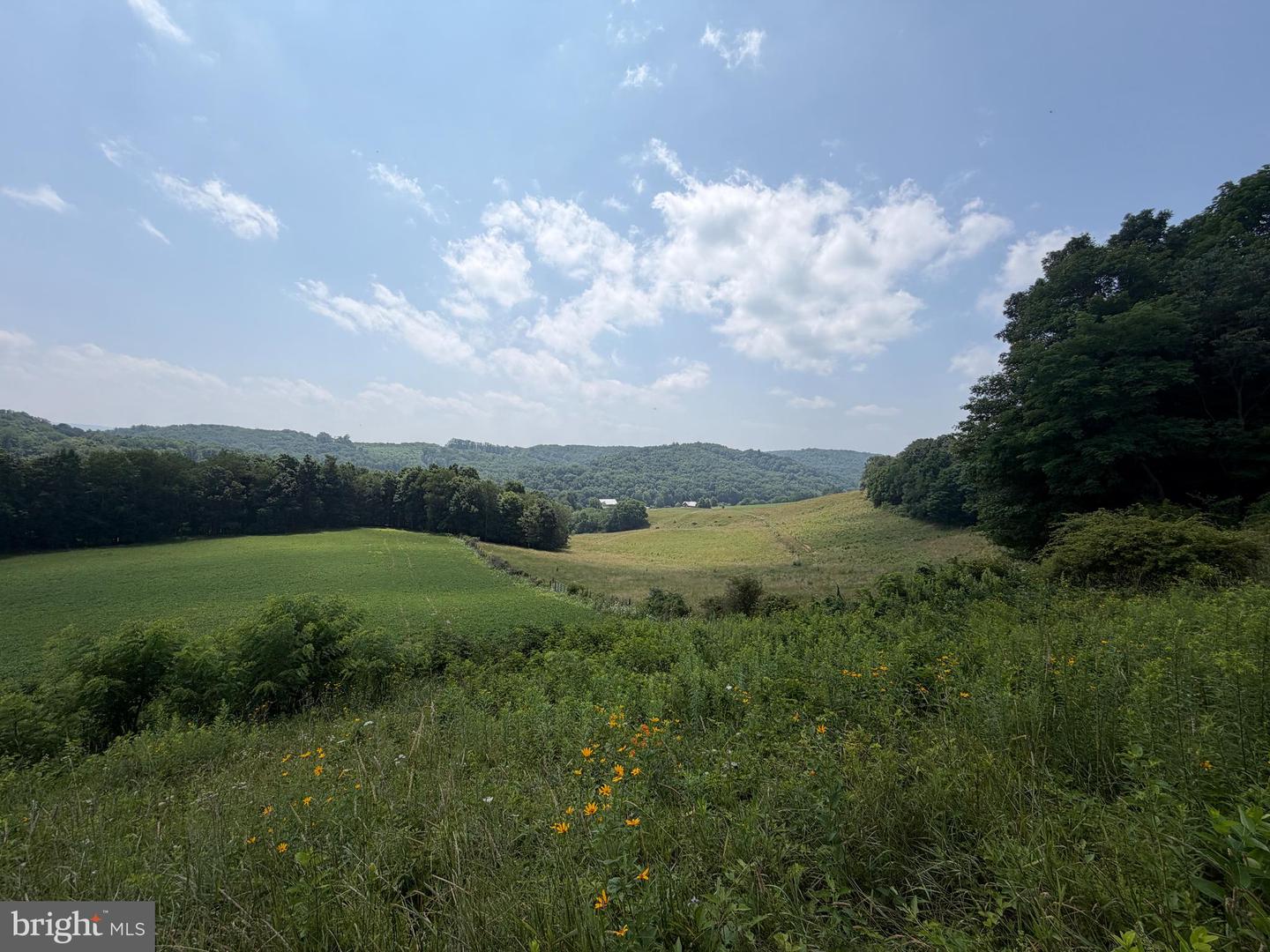 131.5+/- Acres At 361 Caney Valley Rd Property Photo 41