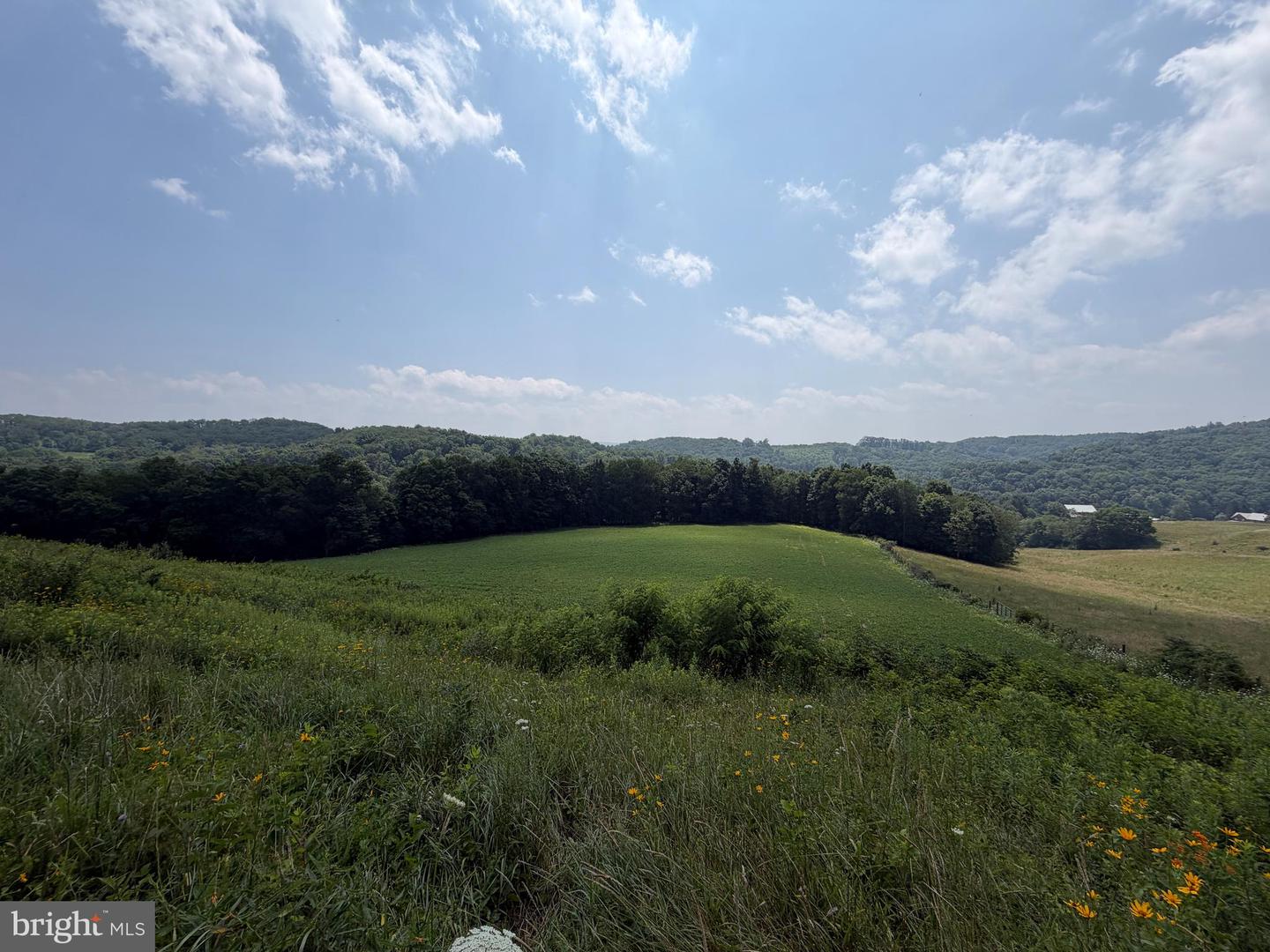 131.5+/- Acres At 361 Caney Valley Rd Property Photo 42