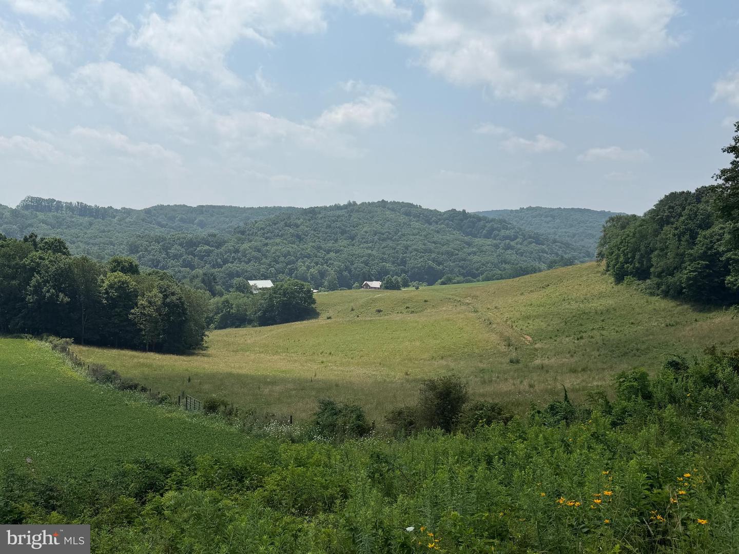131.5+/- Acres At 361 Caney Valley Rd Property Photo 43