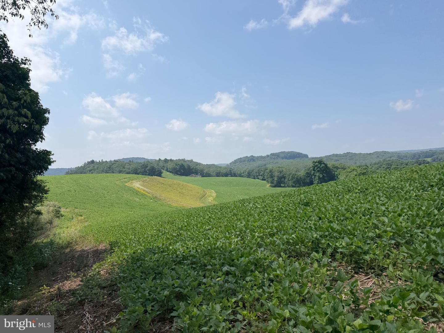 131.5+/- Acres At 361 Caney Valley Rd Property Photo 44