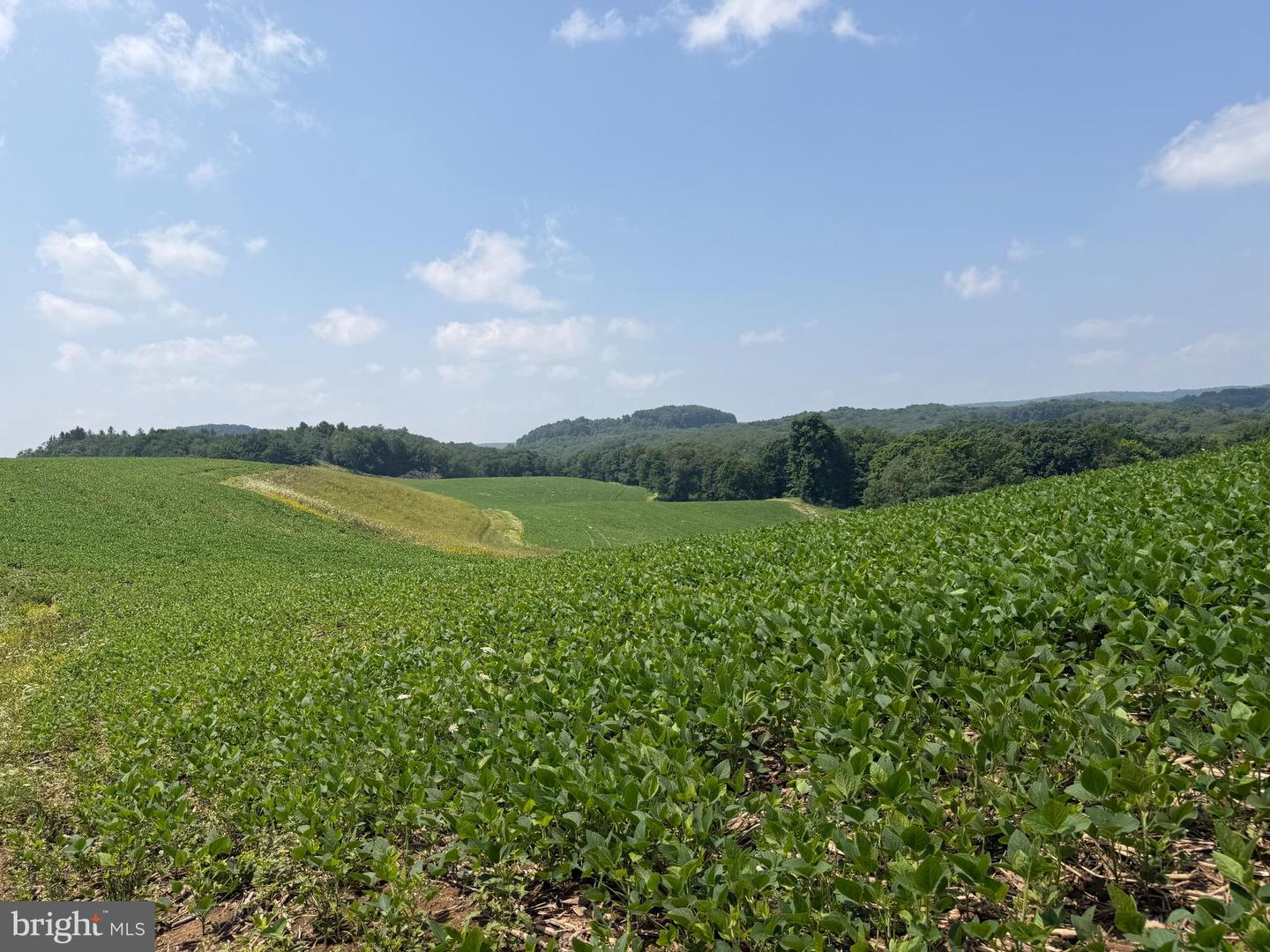 131.5+/- Acres At 361 Caney Valley Rd Property Photo 45