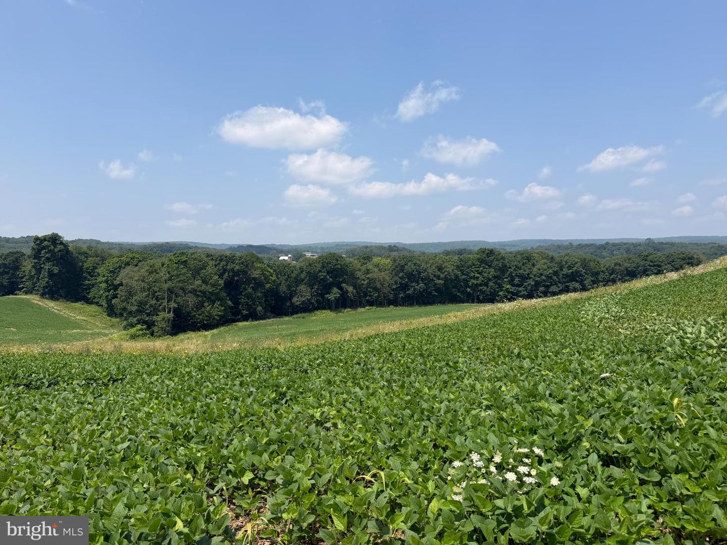 131.5+/- Acres At 361 Caney Valley Rd Property Photo 46