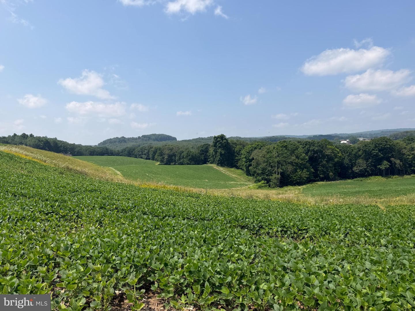 131.5+/- Acres At 361 Caney Valley Rd Property Photo 47
