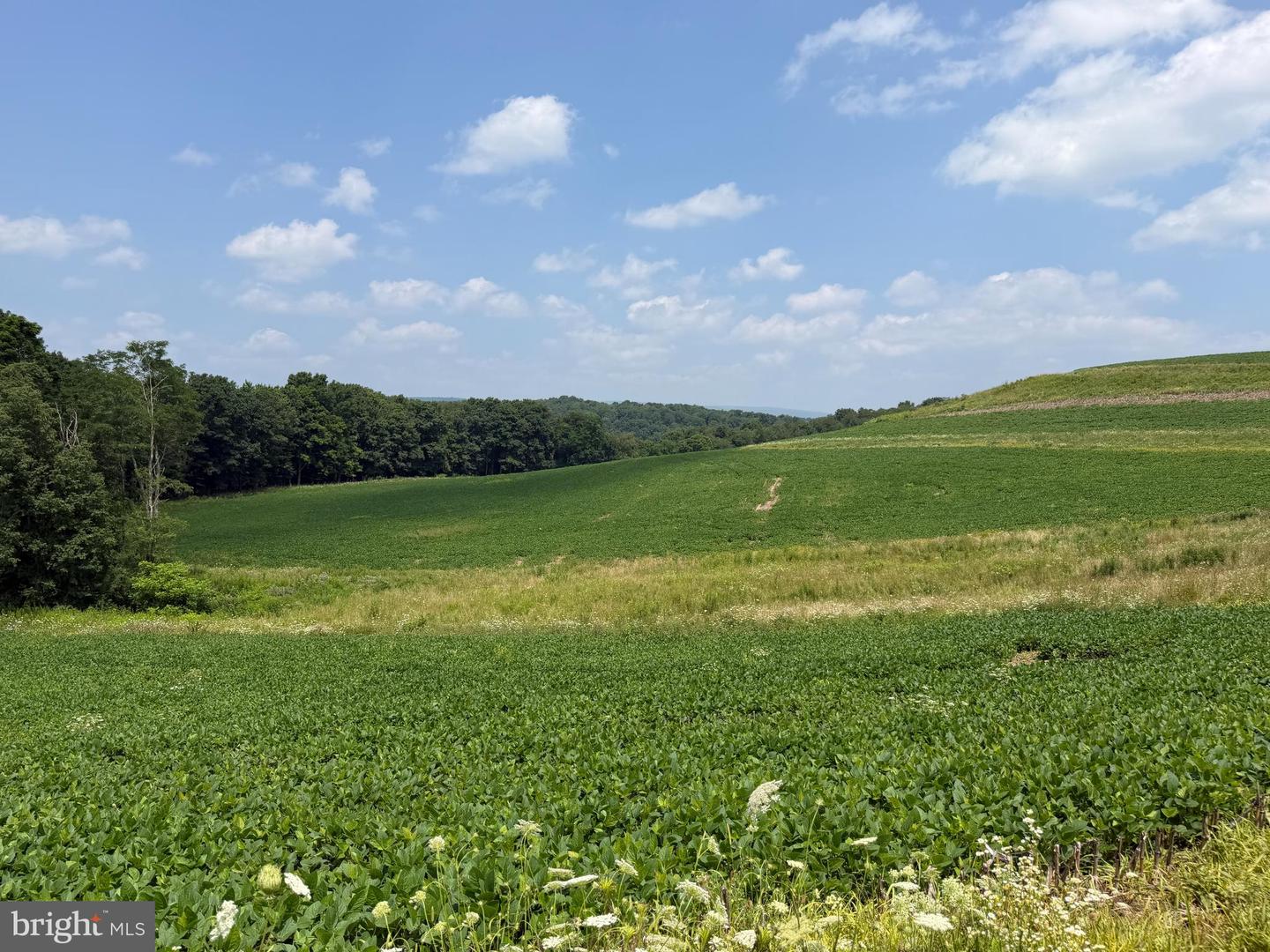 131.5+/- Acres At 361 Caney Valley Rd Property Photo 48