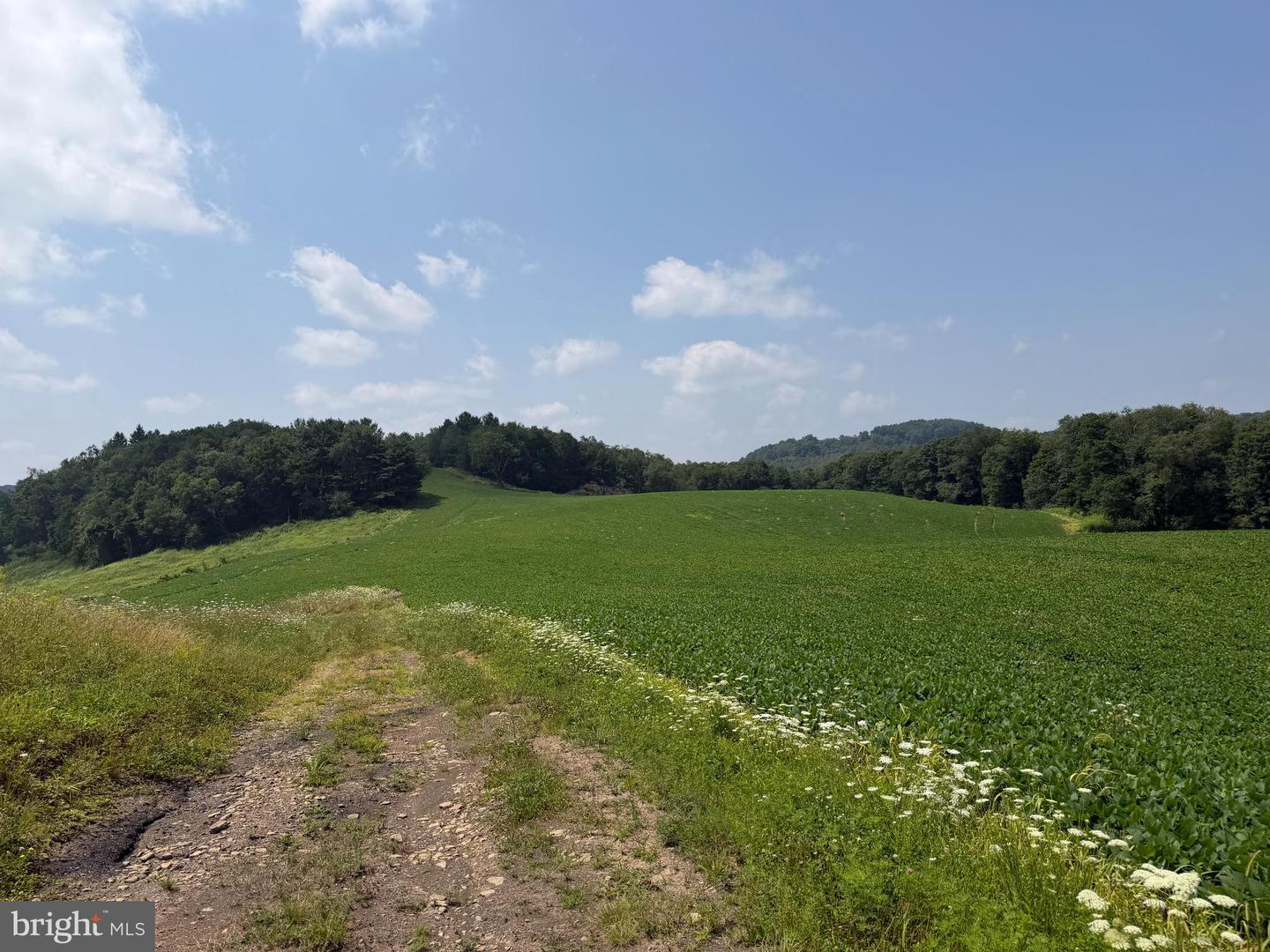 131.5+/- Acres At 361 Caney Valley Rd Property Photo 49