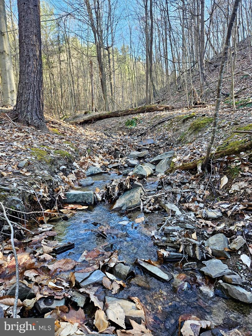Ripka Road Property Photo