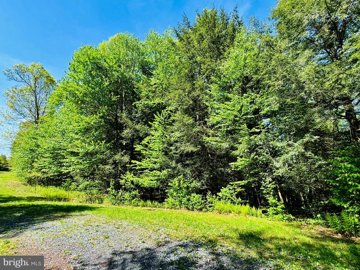 LOT: 10 PARADISE POINT