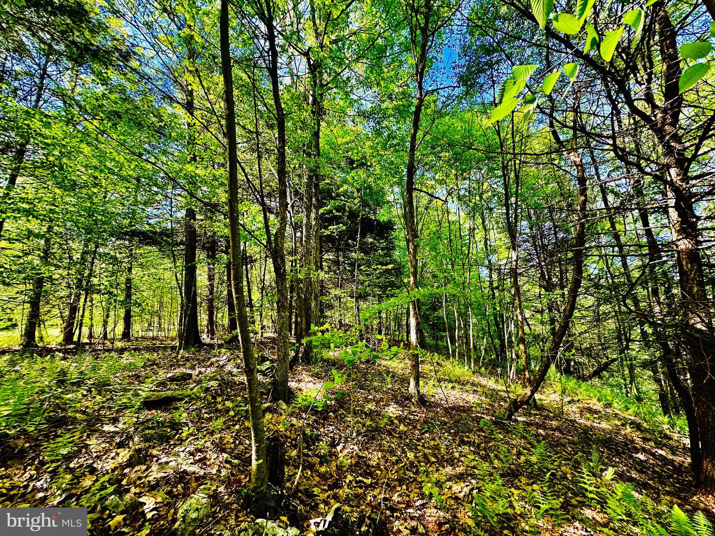 Lot: 10 Paradise Point Property Photo 3