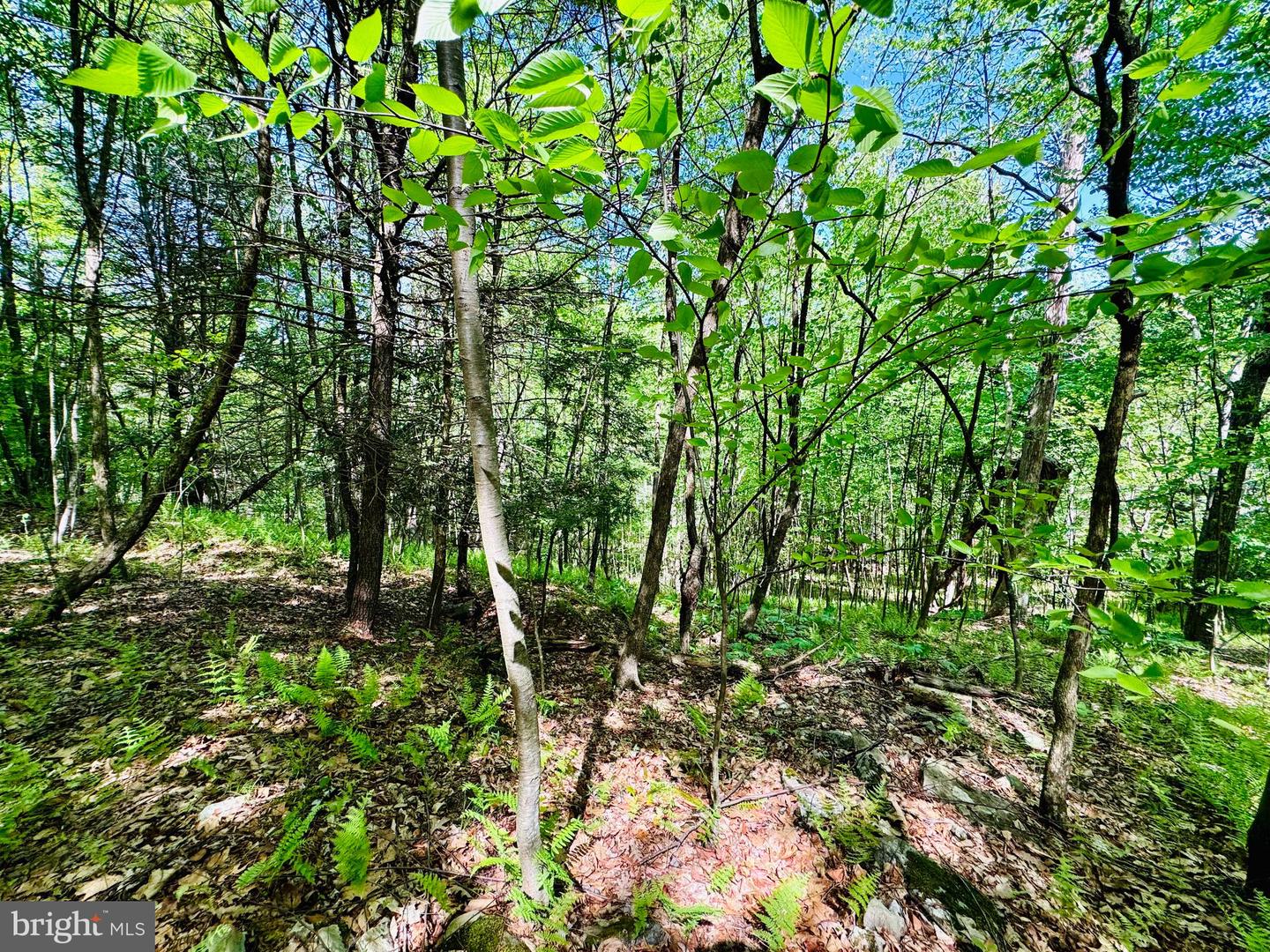 Lot: 10 Paradise Point Property Photo 4
