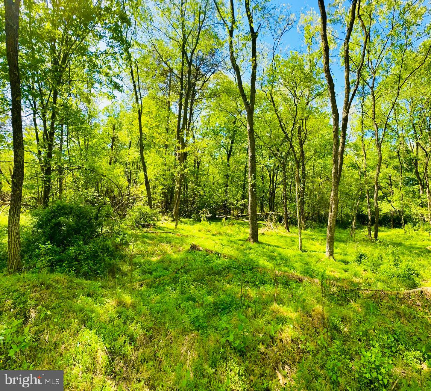 Lot: 35 PARADISE POINT Property Photo 1