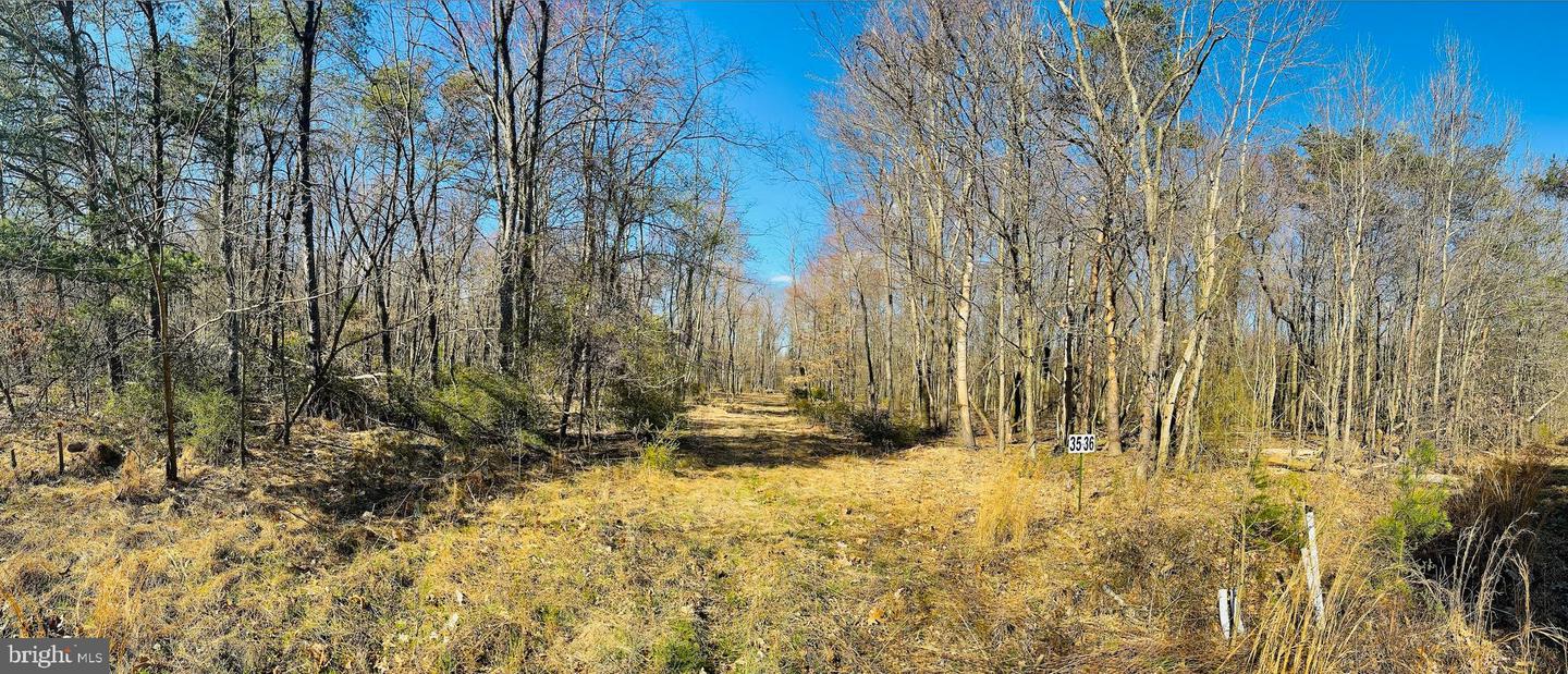 Lot: 36 Paradise Point Property Photo 4