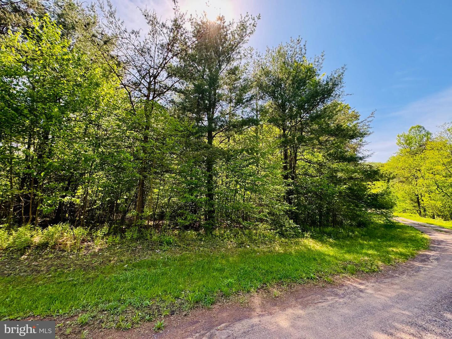 Lot: 42 Paradise Point Property Photo 1