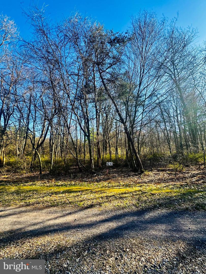 Lot: 42 Paradise Point Property Photo 4