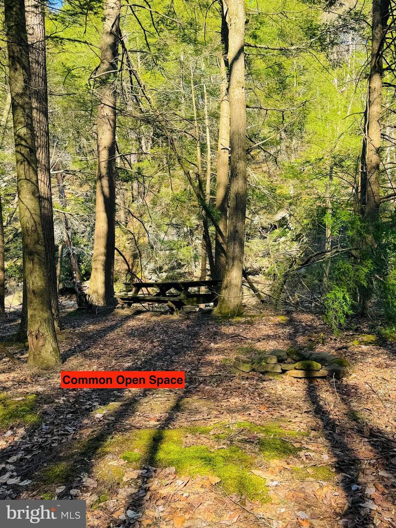 Lot: 42 Paradise Point Property Photo 7