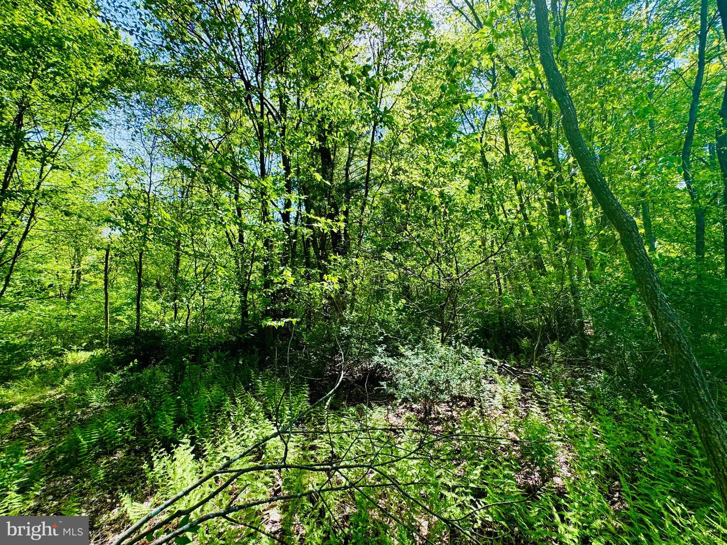 Lot: 43 PARADISE POINT Property Photo 1