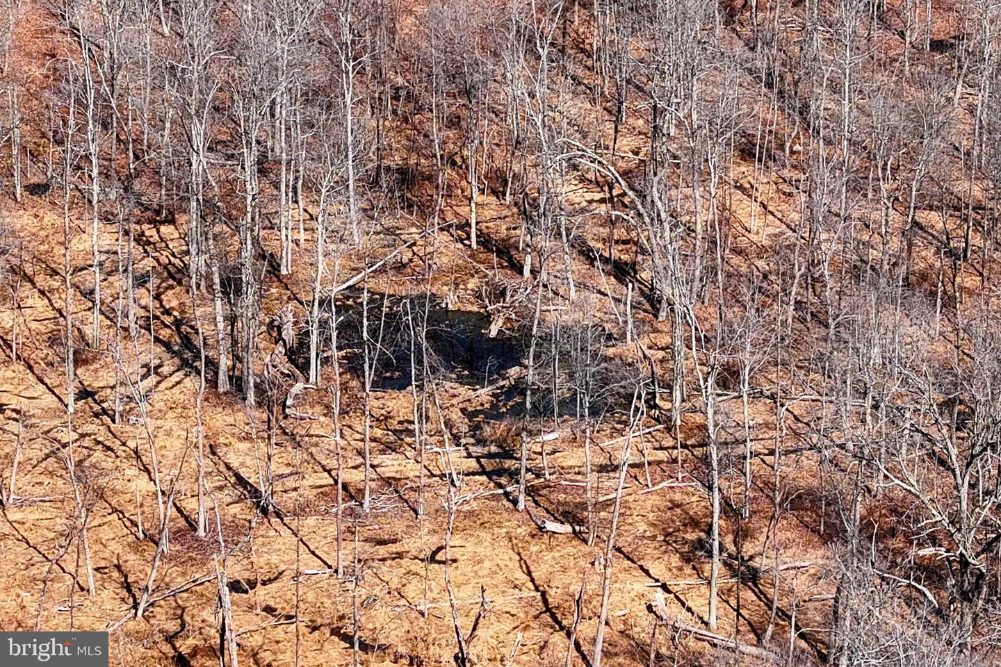 Eagle Foundry Road Property Photo 4