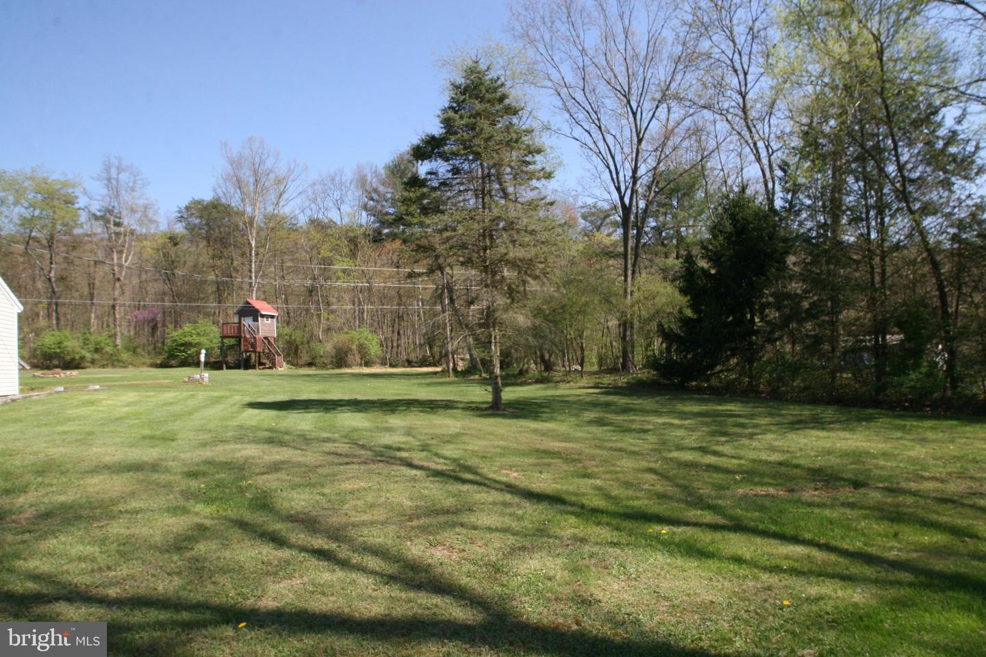 20583 Maddensville Pike Property Photo 5