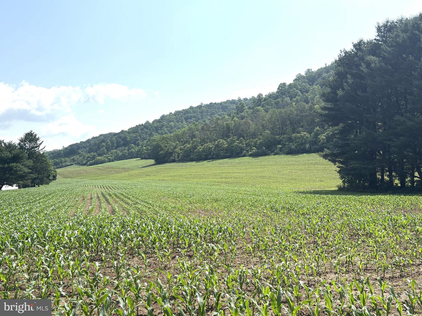 7260 Chilcote Hollow Rd Property Photo 1