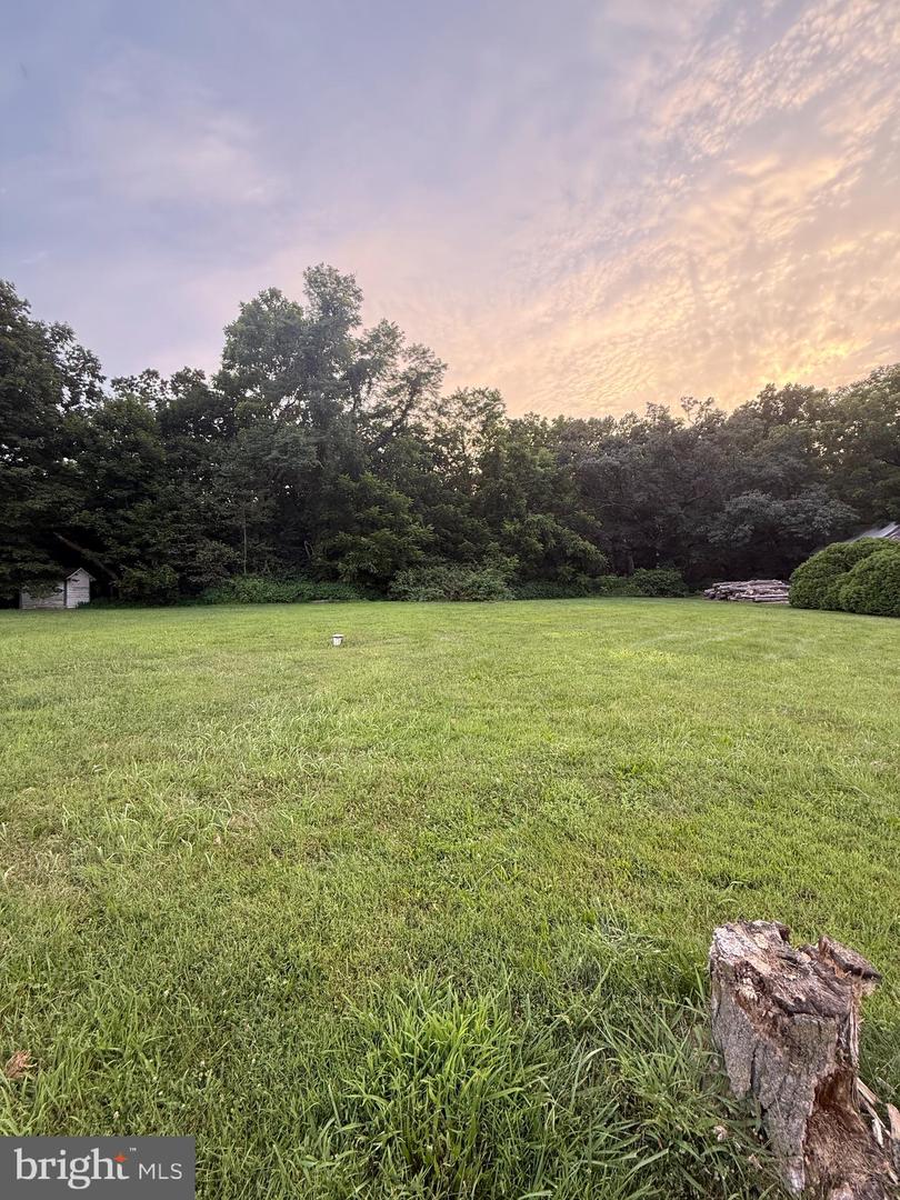 Mountain Foot Spur Rd Property Photo 3
