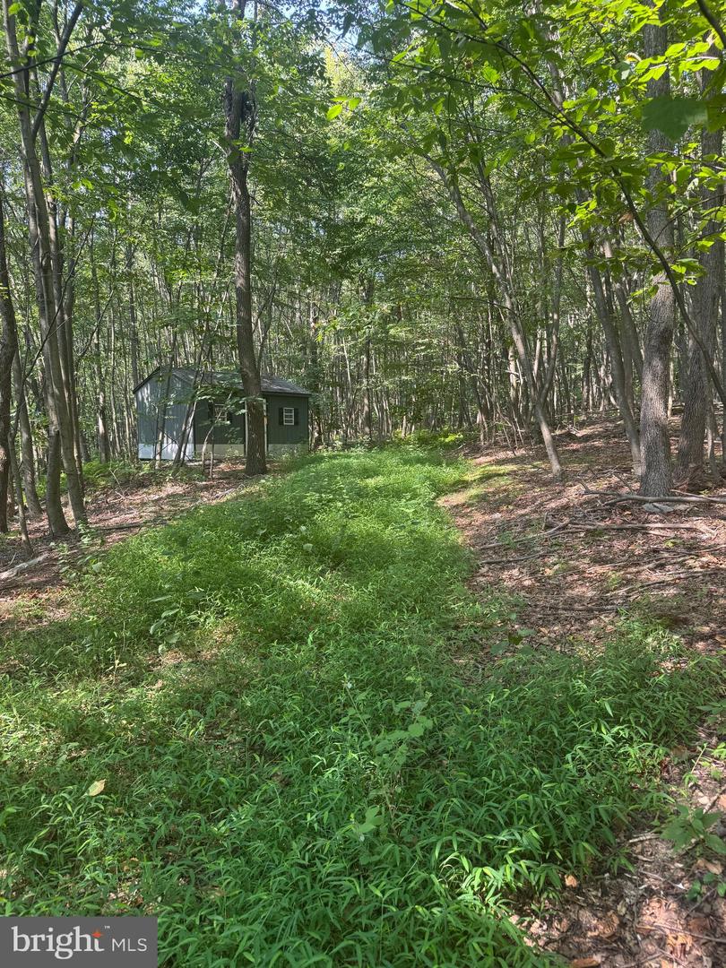 8165 Sand Rock Property Photo 1