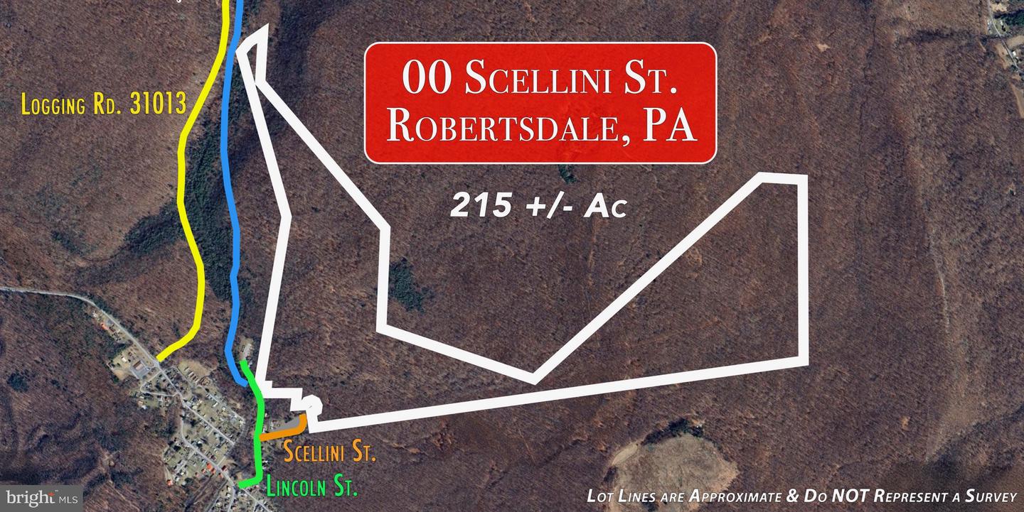 00 Scellini St Property Photo 1