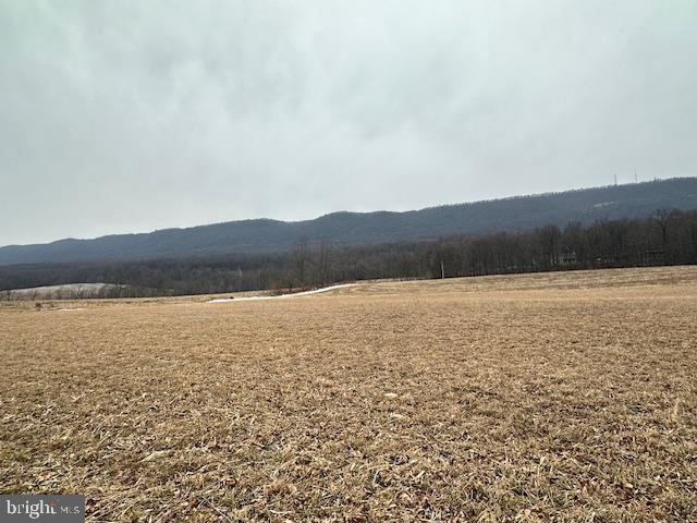 19642 Raystown Property Photo 43