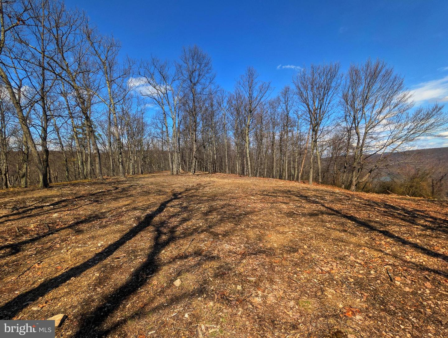 00 Pine Ridge Road Property Photo 14
