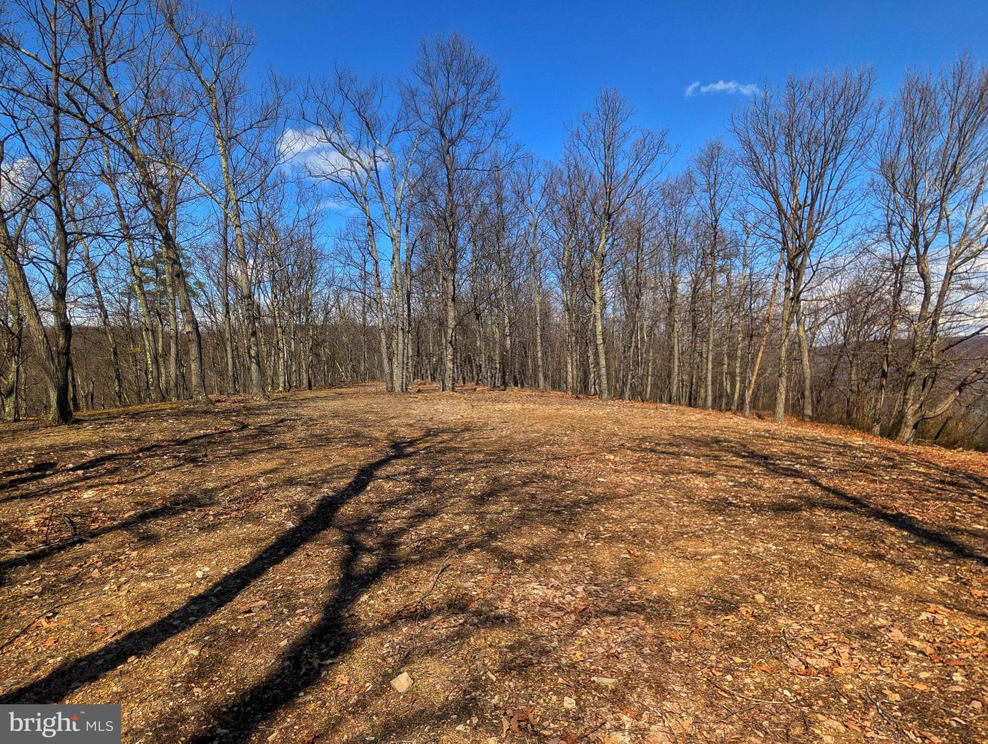 00 Pine Ridge Road Property Photo 15