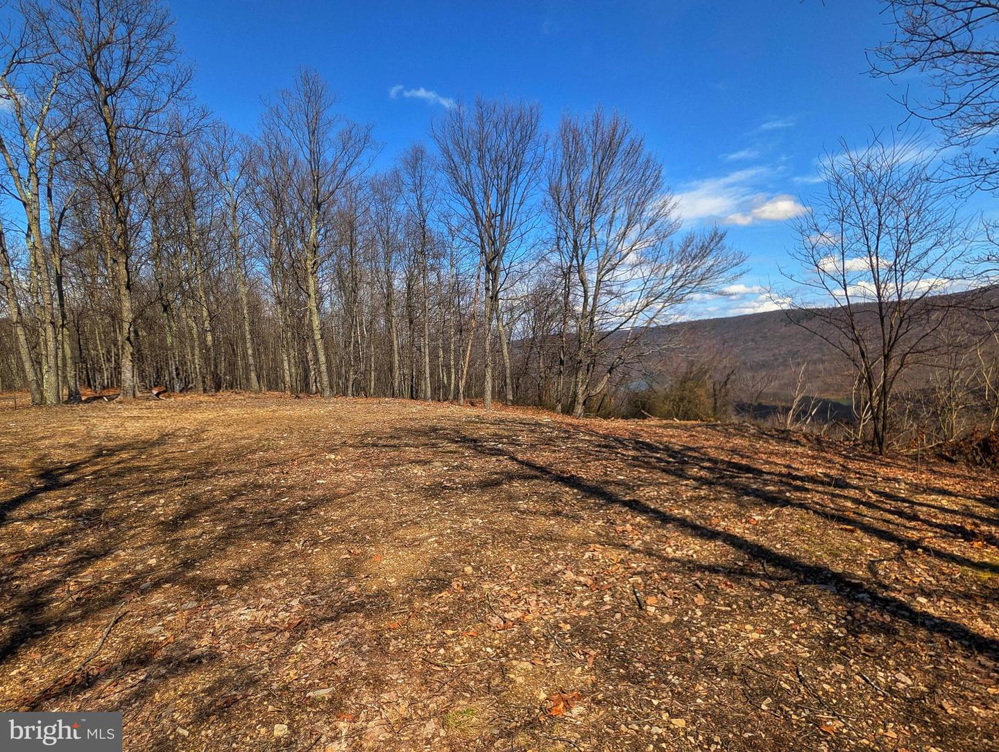 00 Pine Ridge Road Property Photo 16