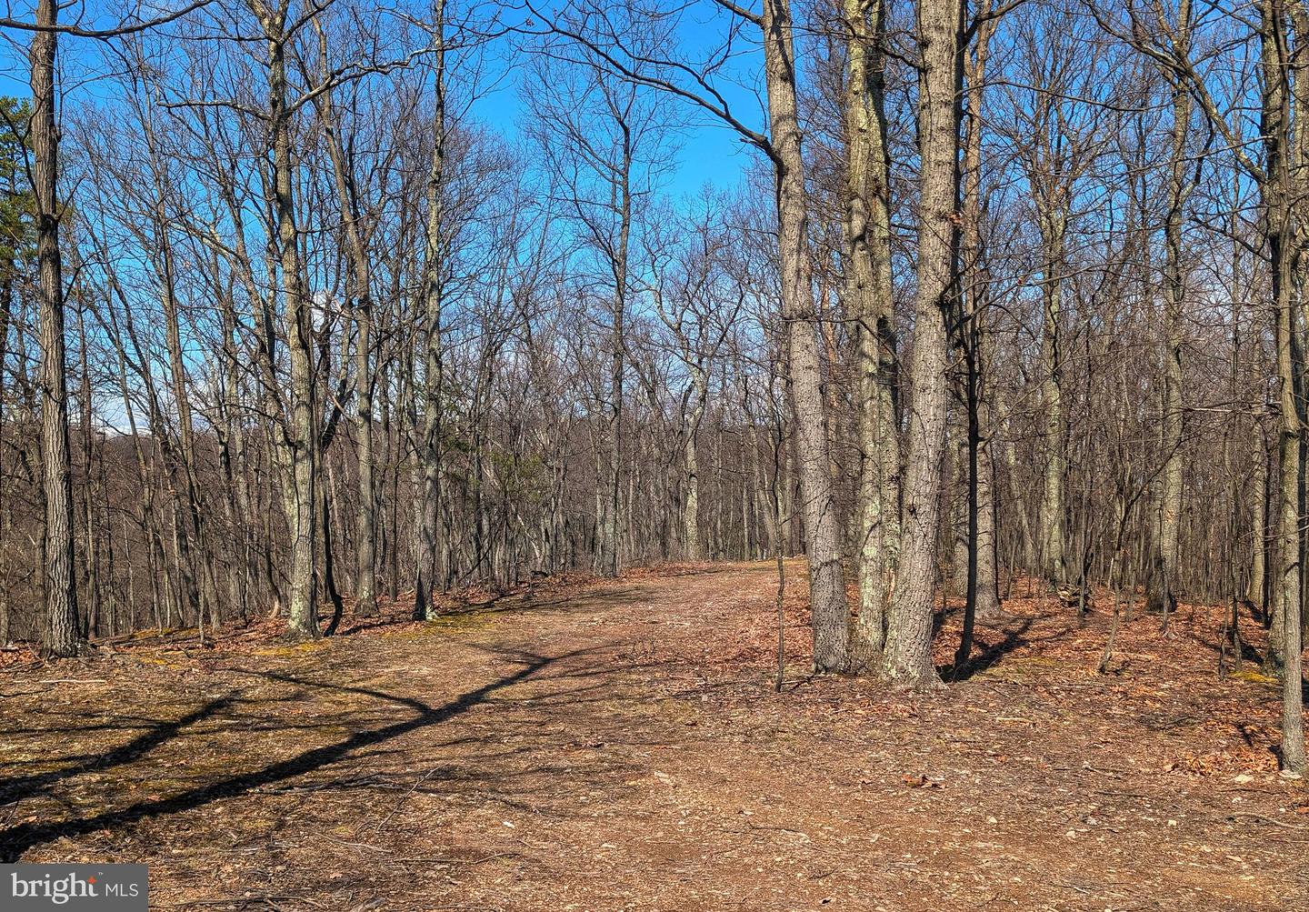 00 Pine Ridge Road Property Photo 18