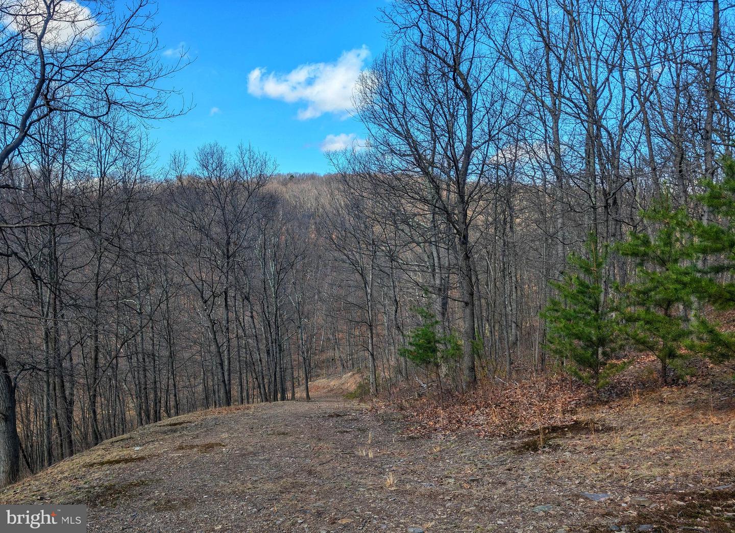 00 Pine Ridge Road Property Photo 22