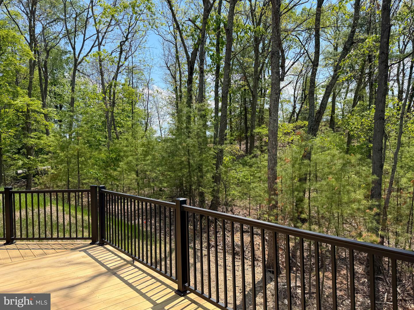 7776 Echo Heights Dr Property Photo 39