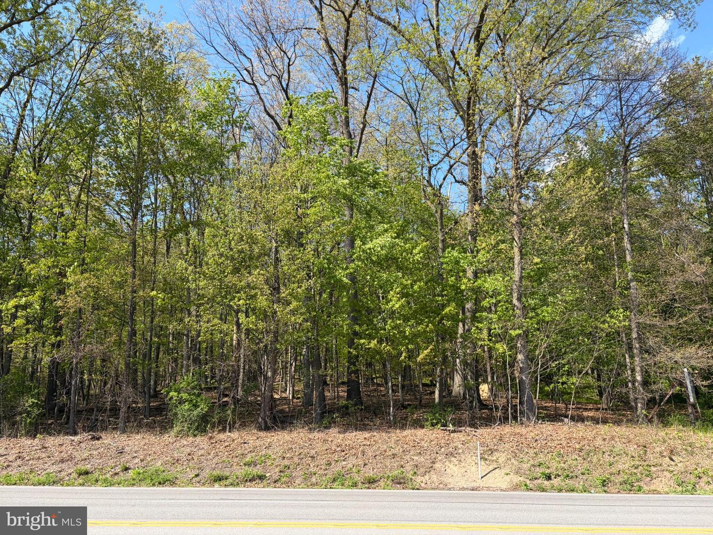 Lot- William Penn Hwy Property Photo 3