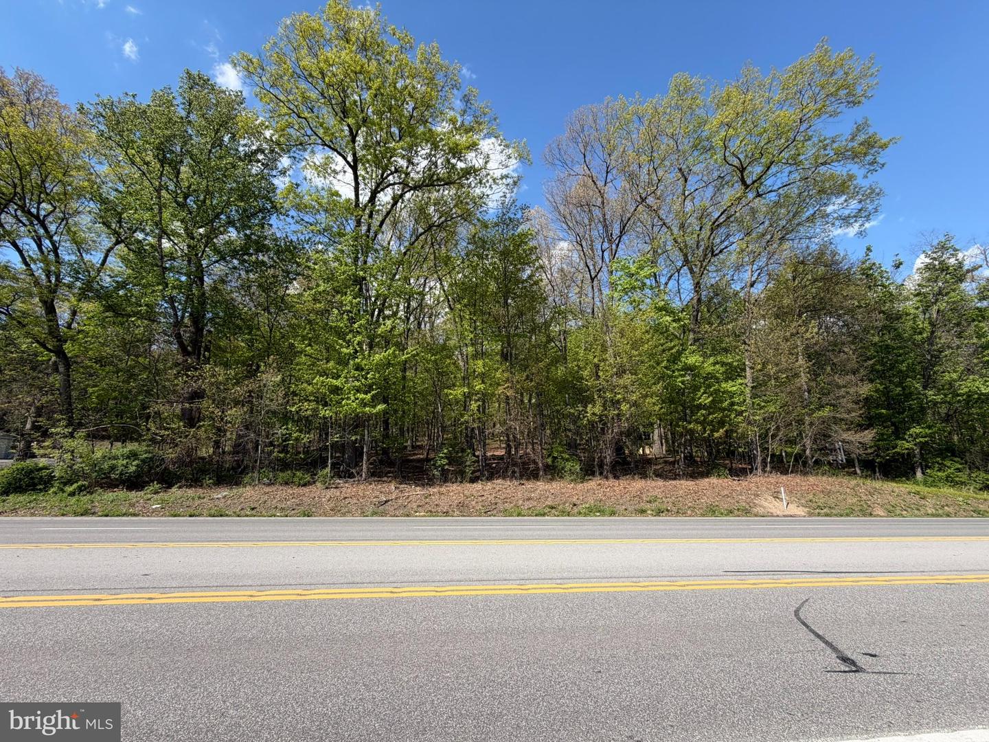 Lot- William Penn Hwy Property Photo 4