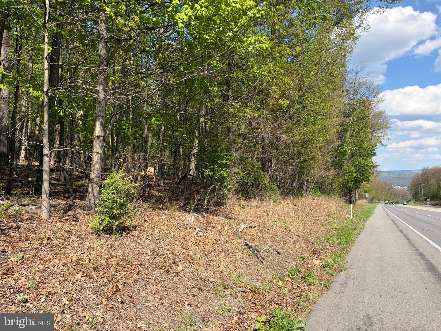 Lot- William Penn Hwy Property Photo 6