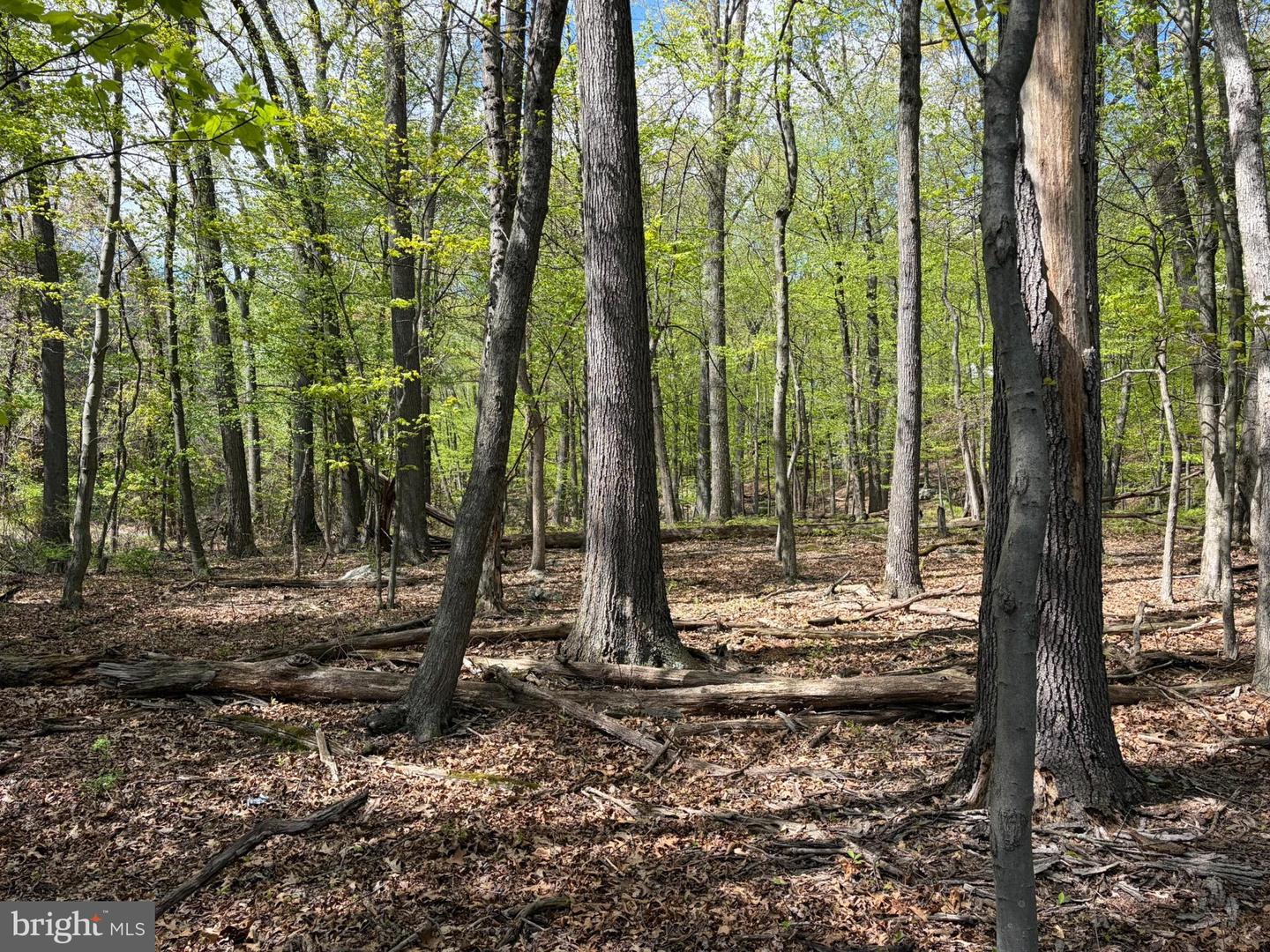 Lot- William Penn Hwy Property Photo 7