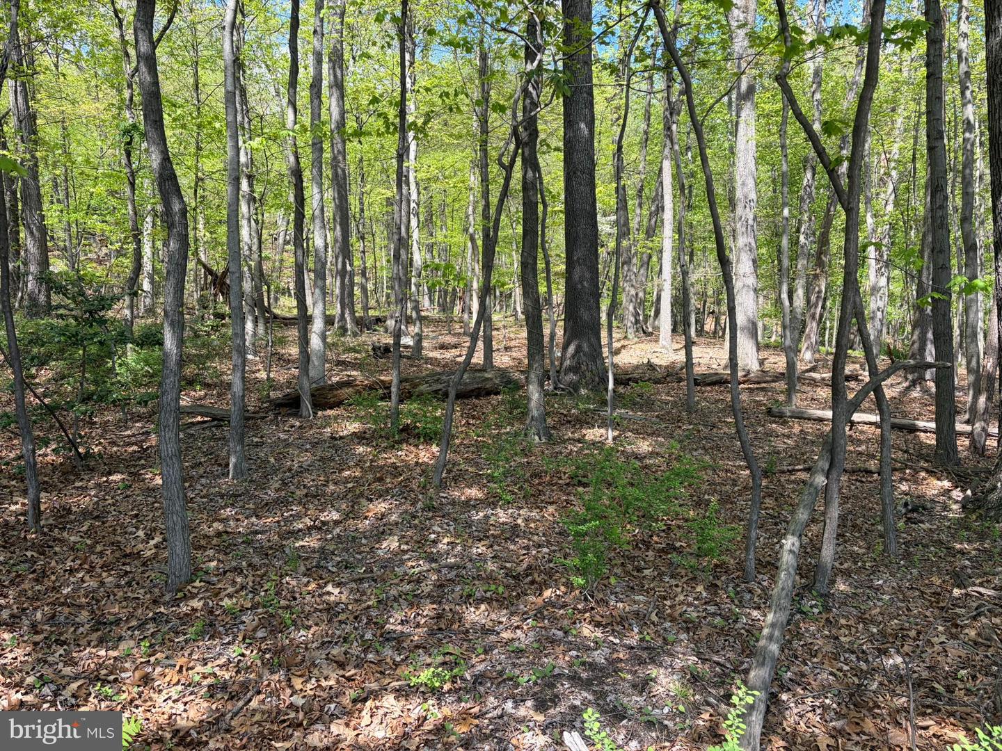 Lot- William Penn Hwy Property Photo 8